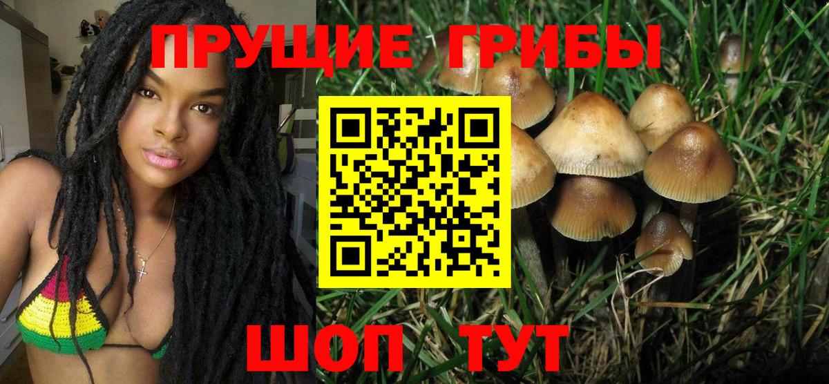 Галлюциногенные грибы GOLDEN TEACHER  Вход с VPN  Котельники  Псилоцибиновые грибы Psilocybe 