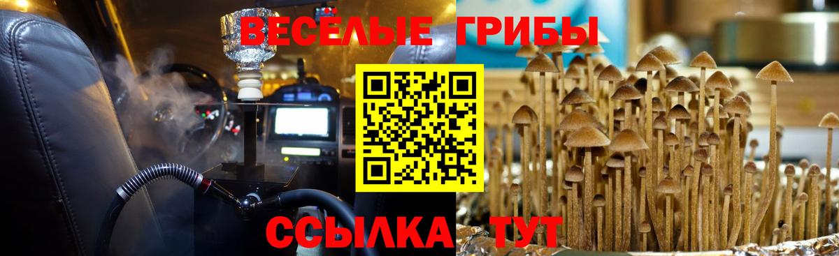 Псилоцибиновые грибы ЛСД Котельники